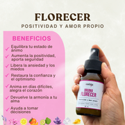 Pack Aromaterapia completo