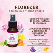 Bruma FLORECER