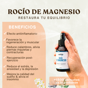 Pack Pies al 100%