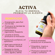 Pack Aromaterapia completo