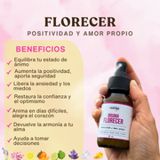 Bruma FLORECER