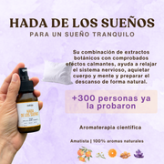 Bruma Hada de los Sueños~ +6meses